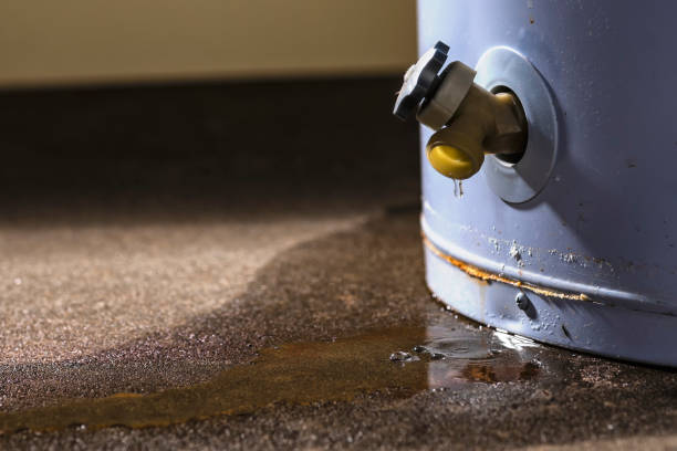 Best Water damage restoration near me  in Athens, MI