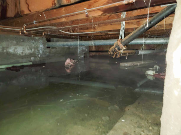 Best Water damage restoration experts  in Athens, MI