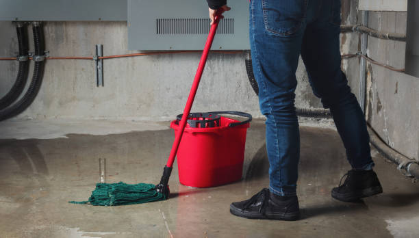 Best Basement water damage restoration  in Athens, MI