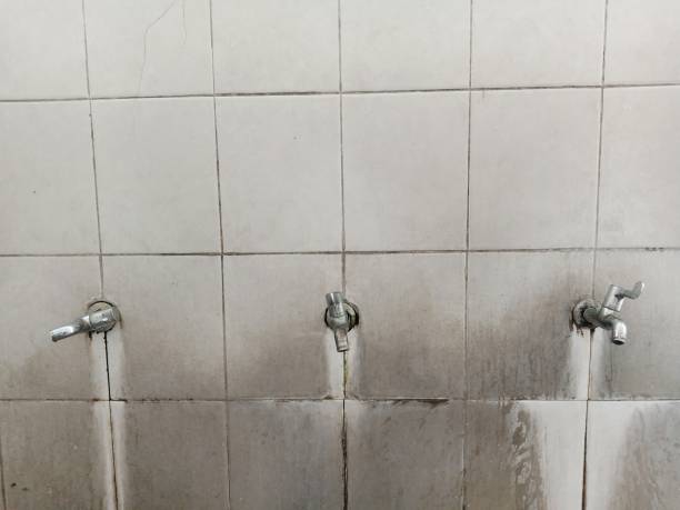 Best Flood restoration services  in Athens, MI