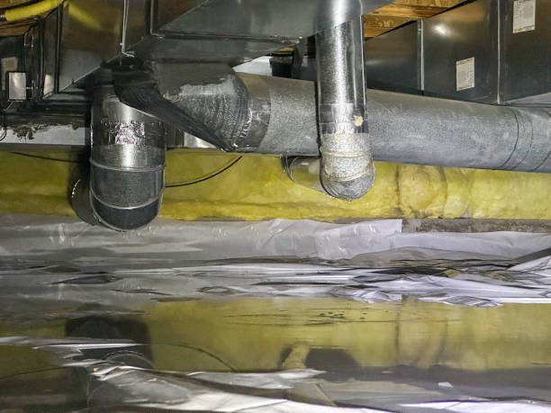 Best Flood damage cleanup  in Athens, MI