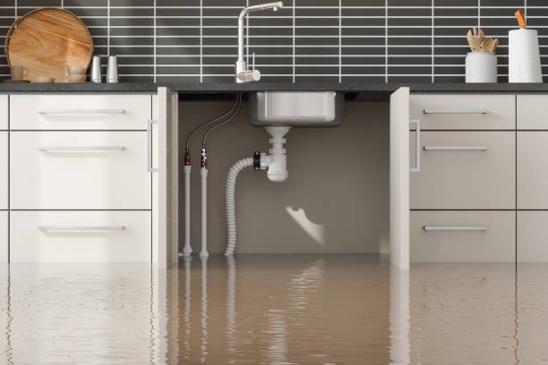 Best Mold removal after water damage  in Athens, MI